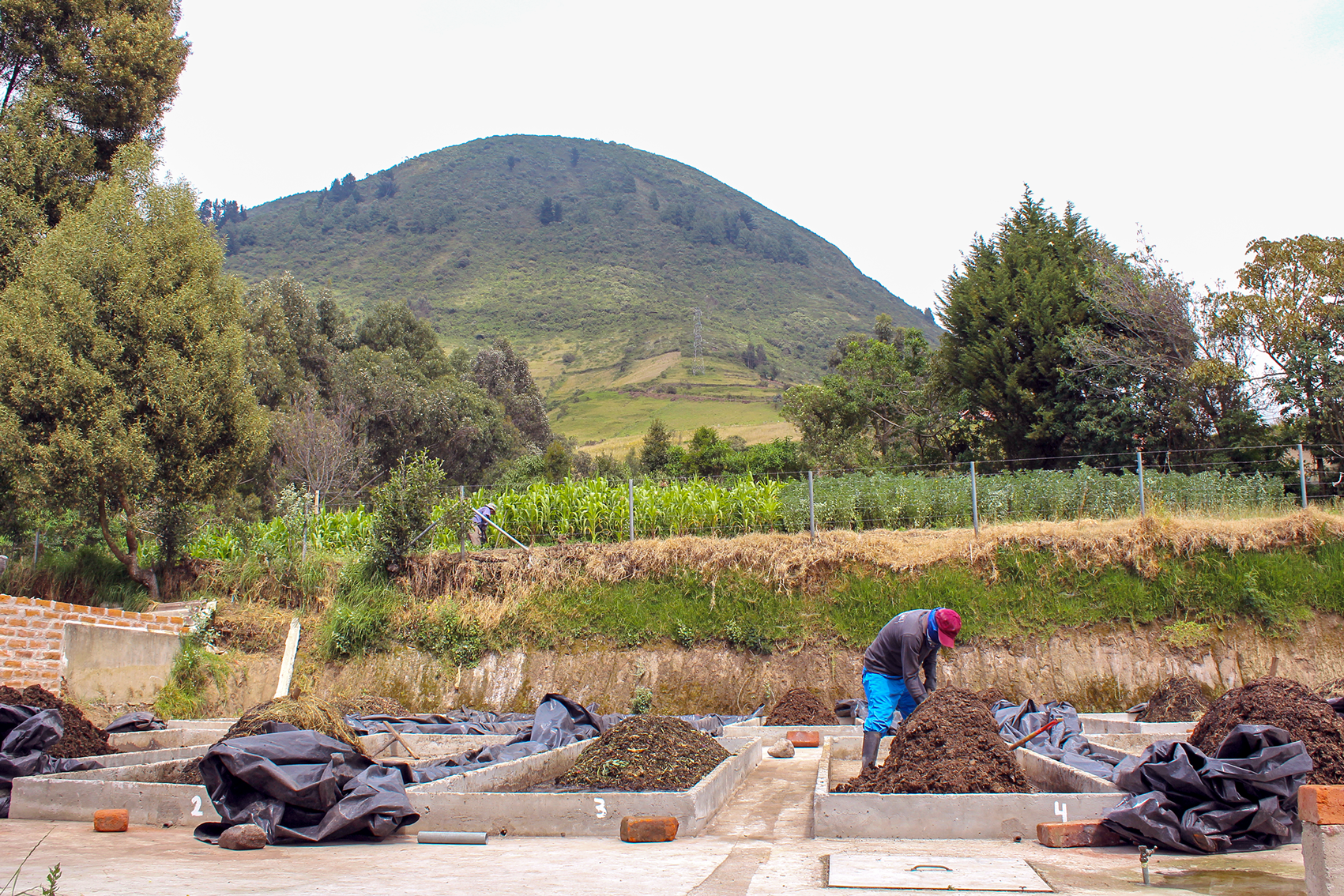 Ampliación y tecnificación del proyecto de elaboración de abonos orgánicos mediante el aprovechamiento de residuos vegetales de 6 mercados del sur del Distrito Metropolitano de Quito