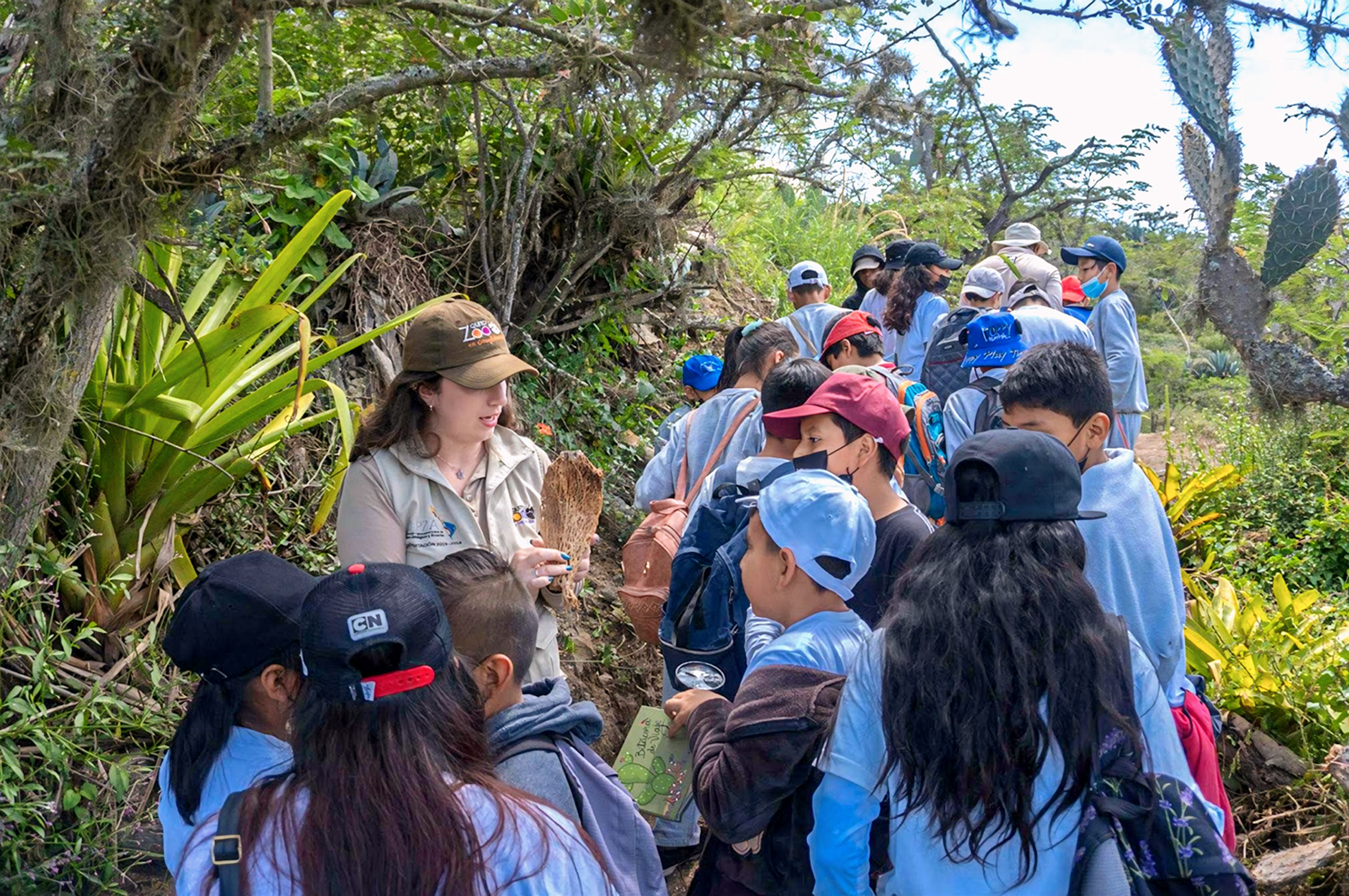 Quito biodiverso Waylla. Promoviendo la cultura ambiental, a partir de un modelo de comunidades educativas sostenibles, en la microcuenca del Río Coyago, Guayllabamba