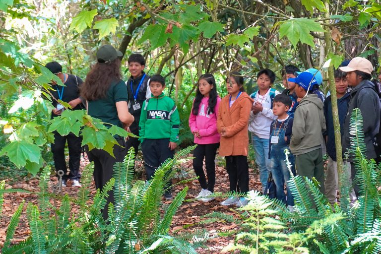 Un verano ambiental en Quito: más de 350 niñas, niños y jóvenes vivieron una experiencia de aprendizaje y conexión con la naturaleza
