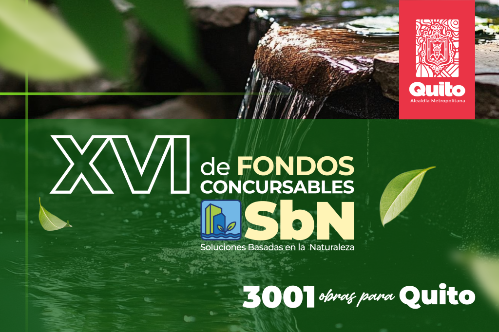 banner-XV-XVI-Convocatorias-WEB-2